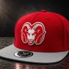 Rams SnapBack Hat – CYI High School Collection Yonkers NY